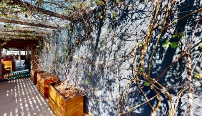 Aquiles Cocina Oriental 3D Model